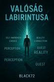 A Valósag Labirintusa (eBook, ePUB)