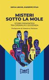 Misteri sotto la Mole (eBook, ePUB)