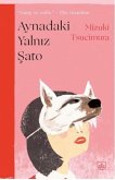Aynadaki Yalniz Sato Aynadaki Yalniz Sato