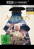 Amadeus - 4k
