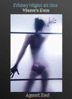 Cover Friday Night at the Vixen's Den (eBook, ePUB)