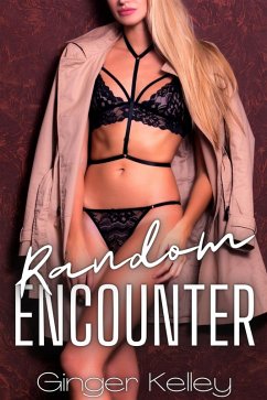 Random Encounter (eBook, ePUB) Cover Random Encounter (eBook, ePUB)