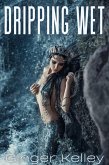 Dripping Wet (eBook, ePUB)
