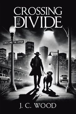 Crossing the Divide (eBook, ePUB)