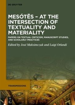 Cover Mesót s. At the Intersection of Textuality and Materiality, 2 Teile