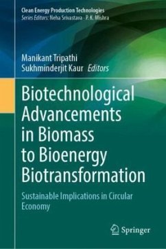 Cover Biotechnological Advancements in Biomass to Bioenergy Biotransformation