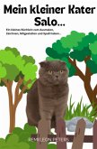 Mein kleiner Kater Salo