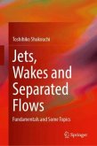 Jets, Wakes and Separated Flows