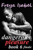 Dangerous Pleasure Book 6 finale (eBook, ePUB)