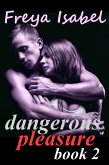 Dangerous Pleasure Book 2 (eBook, ePUB)