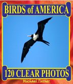 Birds of America. 120 Clear Photos. (eBook, ePUB)