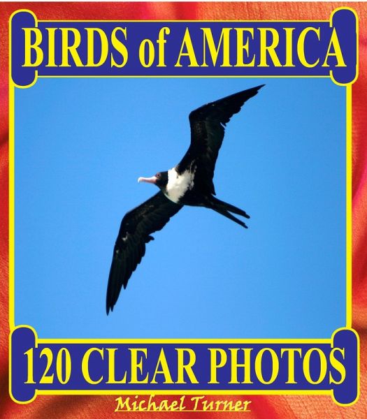 Birds of America. 120 Clear Photos. (eBook, ePUB) Birds of America. 120 Clear Photos. (eBook, ePUB)