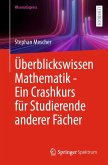Überblickswissen Mathematik - Ein Crashkurs für Studierende anderer Fächer (eBook, PDF)