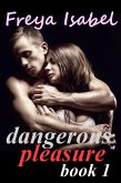 Dangerous Pleasure Book 1 (eBook, ePUB)