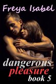 Dangerous Pleasure Book 5 (eBook, ePUB)