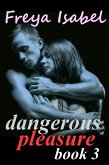 Dangerous Pleasure Book 3 (eBook, ePUB)
