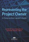 Representing the Project Owner (eBook, ePUB)