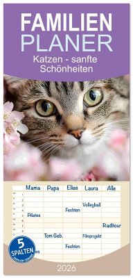 Cover Familienplaner 2026 - Katzen - sanfte Schönheiten mit 5 Spalten (Wandkalender, 21 x 45 cm) CALVENDO