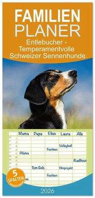 Familienplaner 2026 - Entlebucher - Temperamentvolle Schweizer Sennenhunde mit 5 Spalten (Wandkalender, 21 x 45 cm) CALVENDO