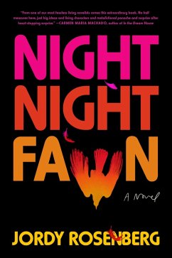 Cover Night Night Fawn (eBook, ePUB)