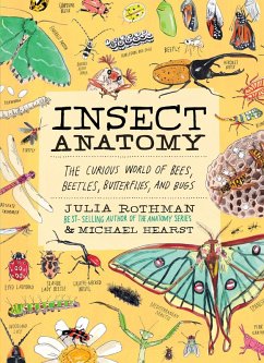 Cover Insect Anatomy (eBook, ePUB)