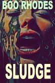 Sludge (eBook, ePUB)