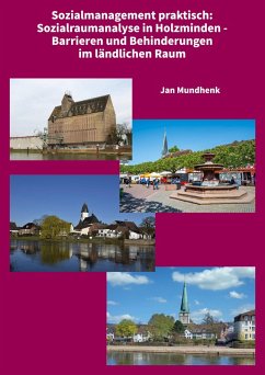 Sozialraumanalyse in Holzminden - Barrieren und Behinderungen im ländlichen Raum (eBook, ePUB)