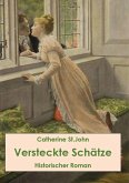 Versteckte Schätze. Historischer Roman (eBook, ePUB)