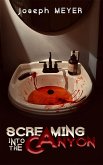 Screaming into the Canyon (eBook, ePUB) Screaming into the Canyon (eBook, ePUB)