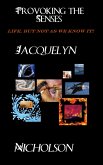 Provoking the Senses (eBook, ePUB)