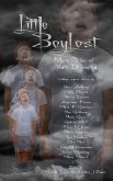 Little Boy Lost: More Tales of Youth Disrupted (eBook, ePUB)
