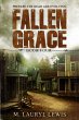 Fallen Grace (eBook, ePUB) - Bild 1