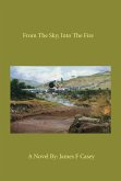 From the Sky; into the Fire (eBook, ePUB)