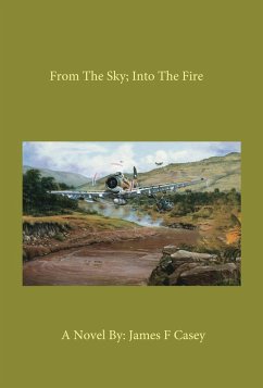 Cover From the Sky; into the Fire (eBook, ePUB)