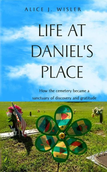Life at Daniel's Place (eBook, ePUB)