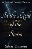 In the Light of the Storm (eBook, ePUB)