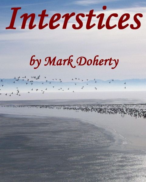Interstices, Outdoors, Out West, Out of the Ordinary & Memorable Desert and Mountain Moments (eBook, ePUB)
