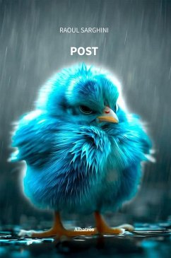 Cover Post (eBook, ePUB)