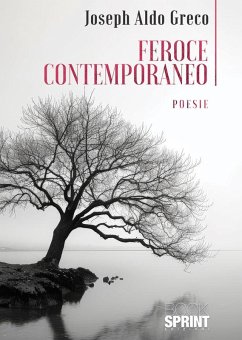 Cover Feroce contemporaneo (eBook, ePUB)