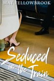 Seduced on the Train (eBook, ePUB)