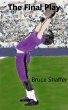 The Final Play (eBook, ePUB) - Bild 1
