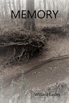 Cover Memory (eBook, ePUB)