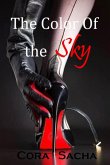 The Color of the Sky (eBook, ePUB)
