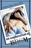 An Exploration of BDSM (eBook, ePUB)