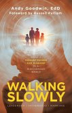 Walking Slowly (eBook, ePUB)
