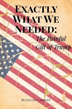 Cover Exactly What We Needed: The Painful Gift of Trump (eBook, ePUB)