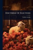 Doctrine Of Election Doctrine Of Election