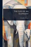 The Life of an Elephant The Life of an Elephant