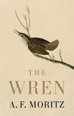 The Wren The Wren