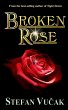 Broken Rose - Bild 1